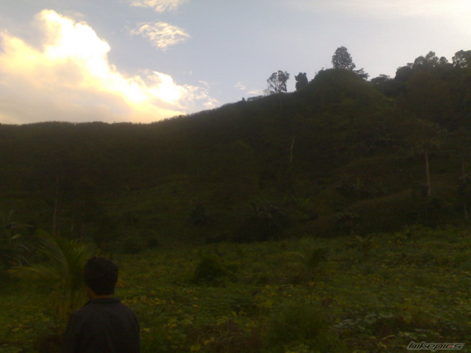 Photo 1941793