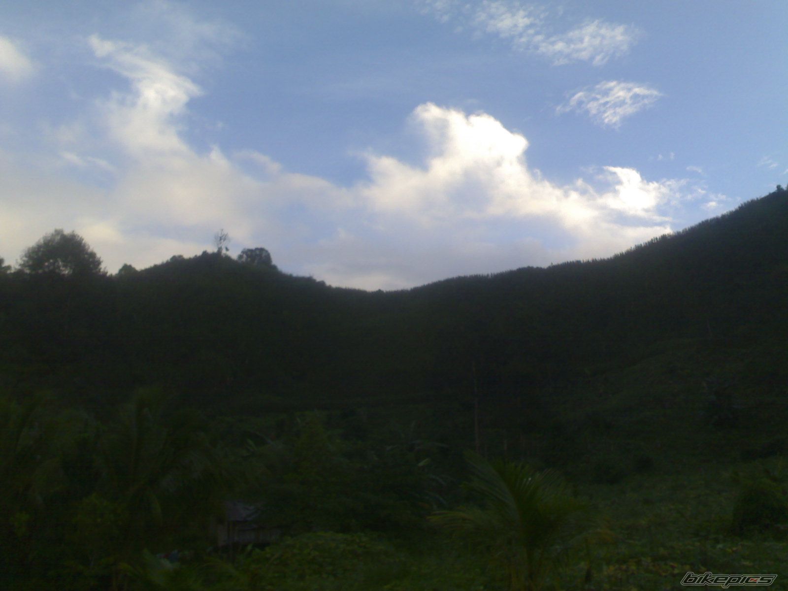 Photo 1941794