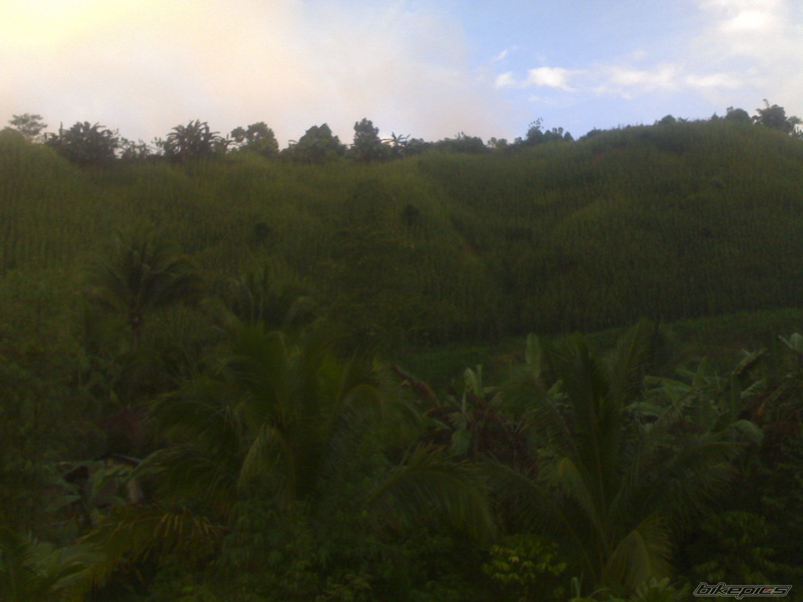 Photo 1941795