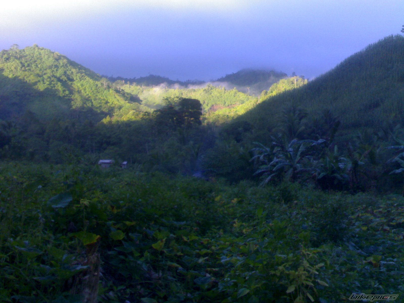 Photo 1941796