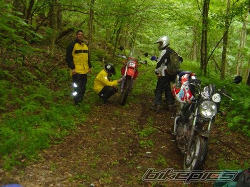 Photo 1942079