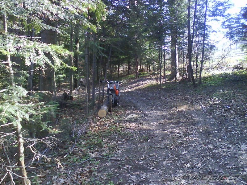 Photo 1942258