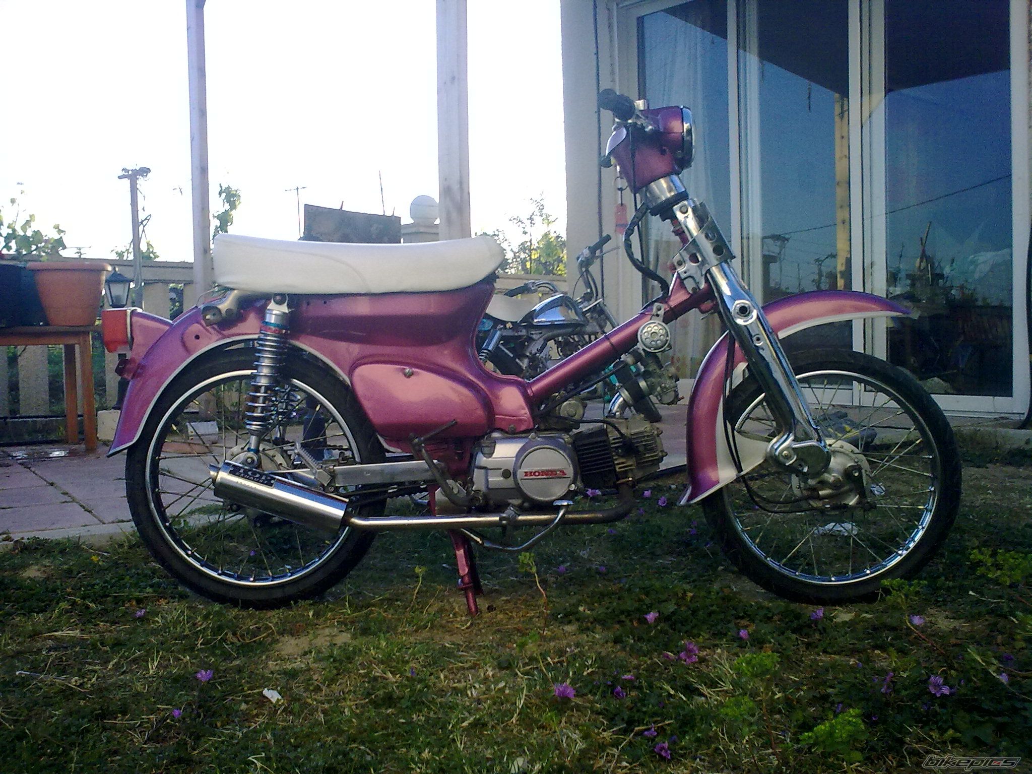 Photo 1942263