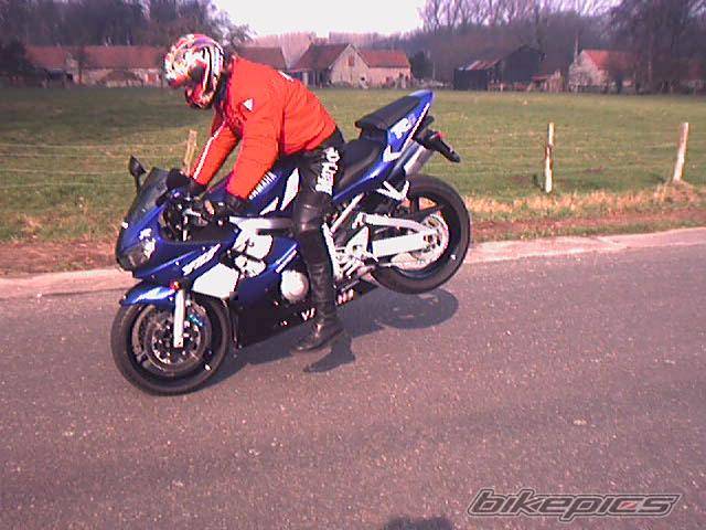 Photo 19424