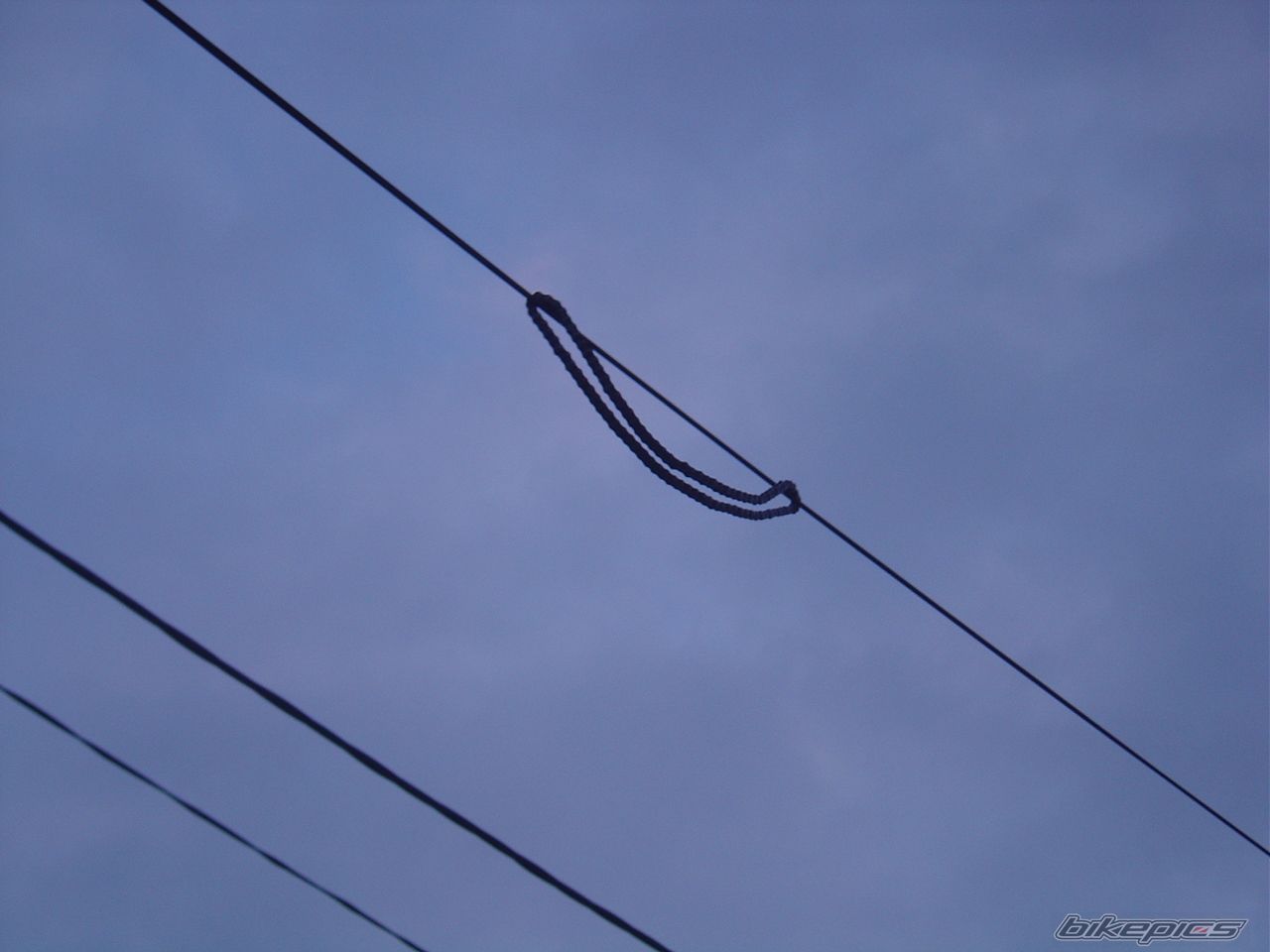 Photo 1942469