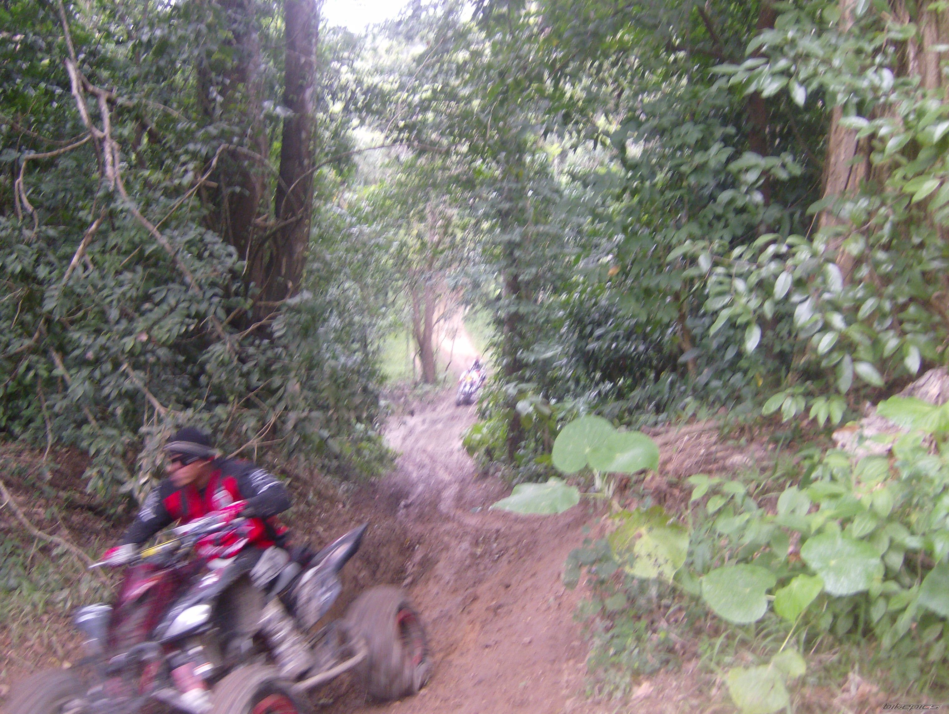 Photo 1943272