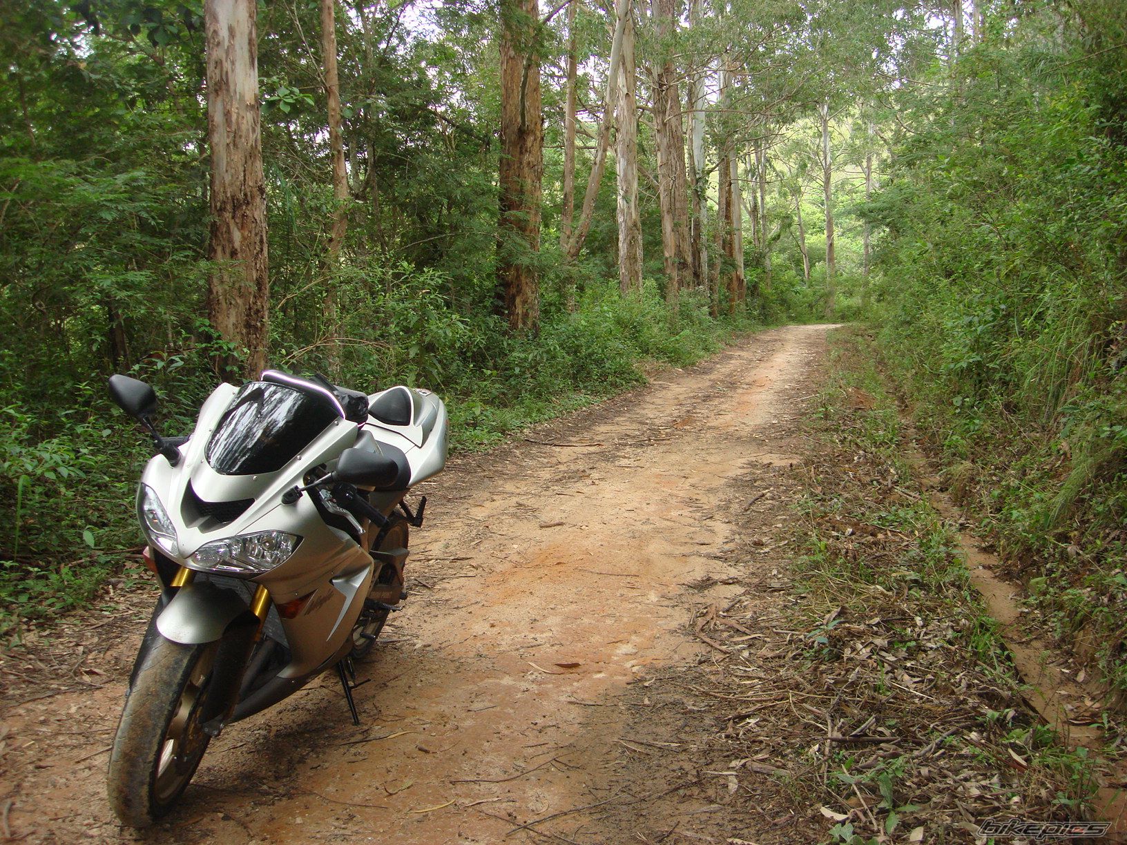 Bike Photo 1943398
