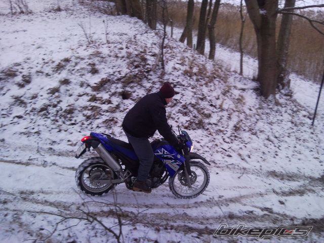 Bike Photo 1943424