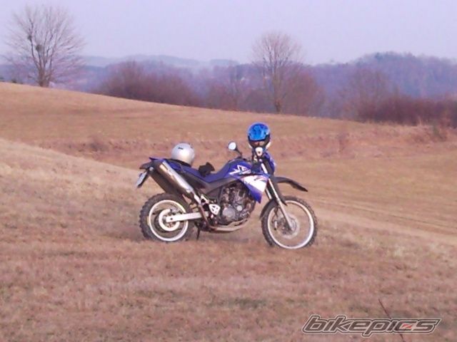 Bike Photo 1943430