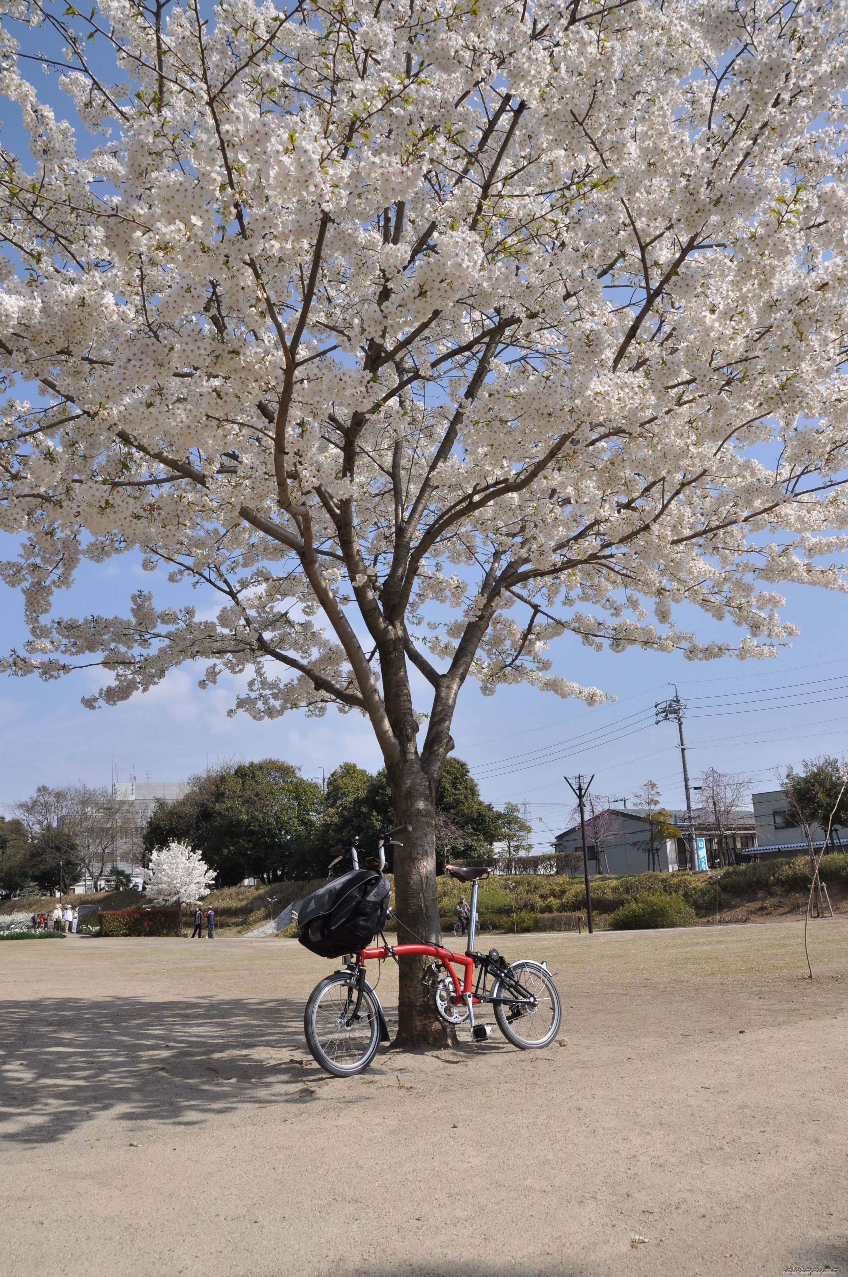 Photo 1943515