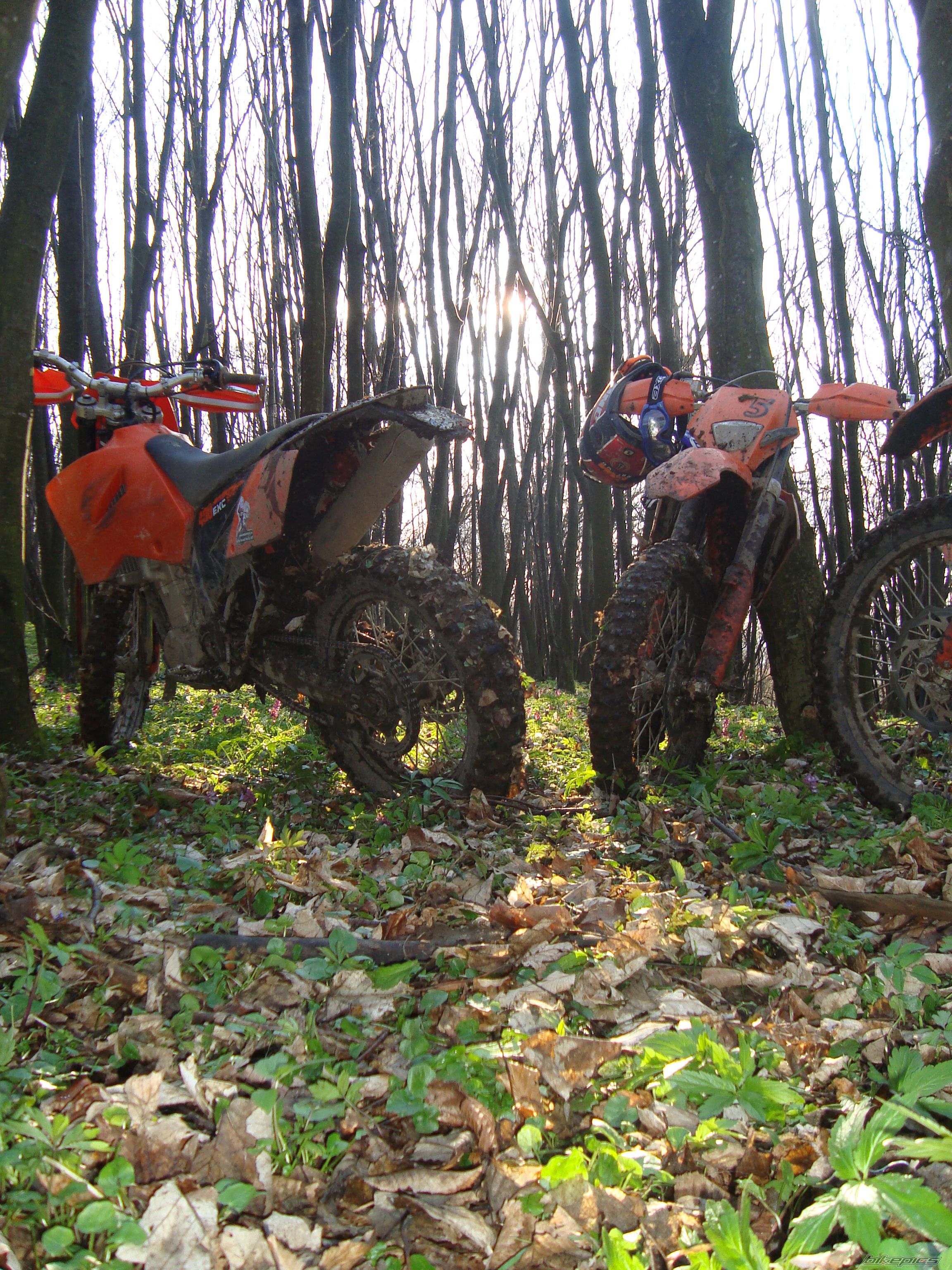 Bike Photo 1943567