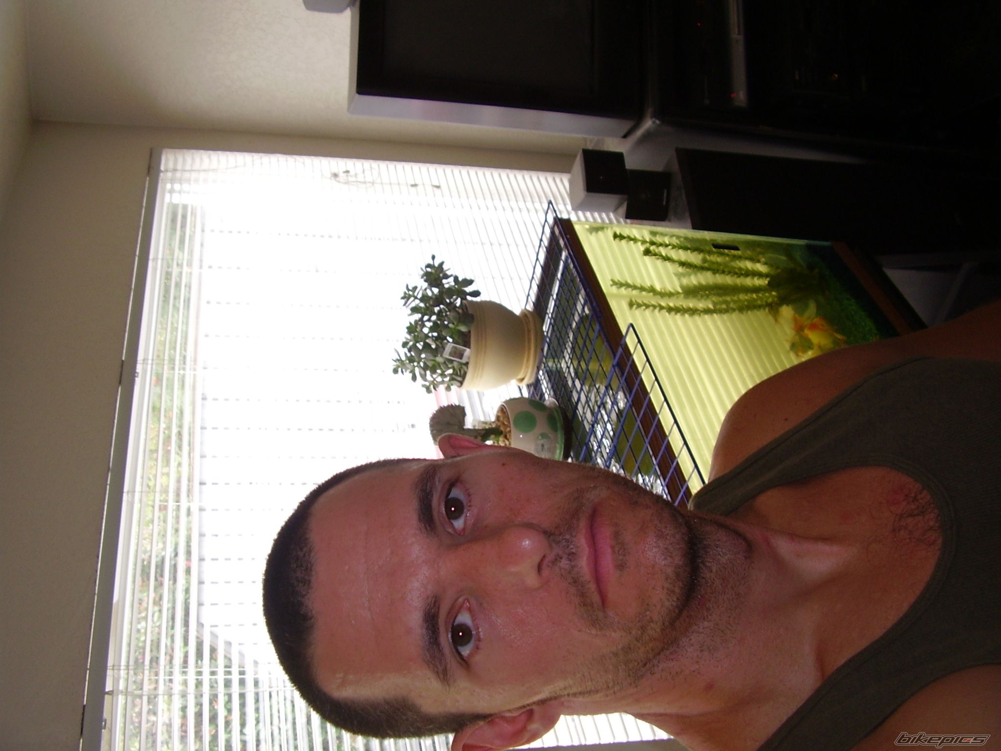 Photo 1943586
