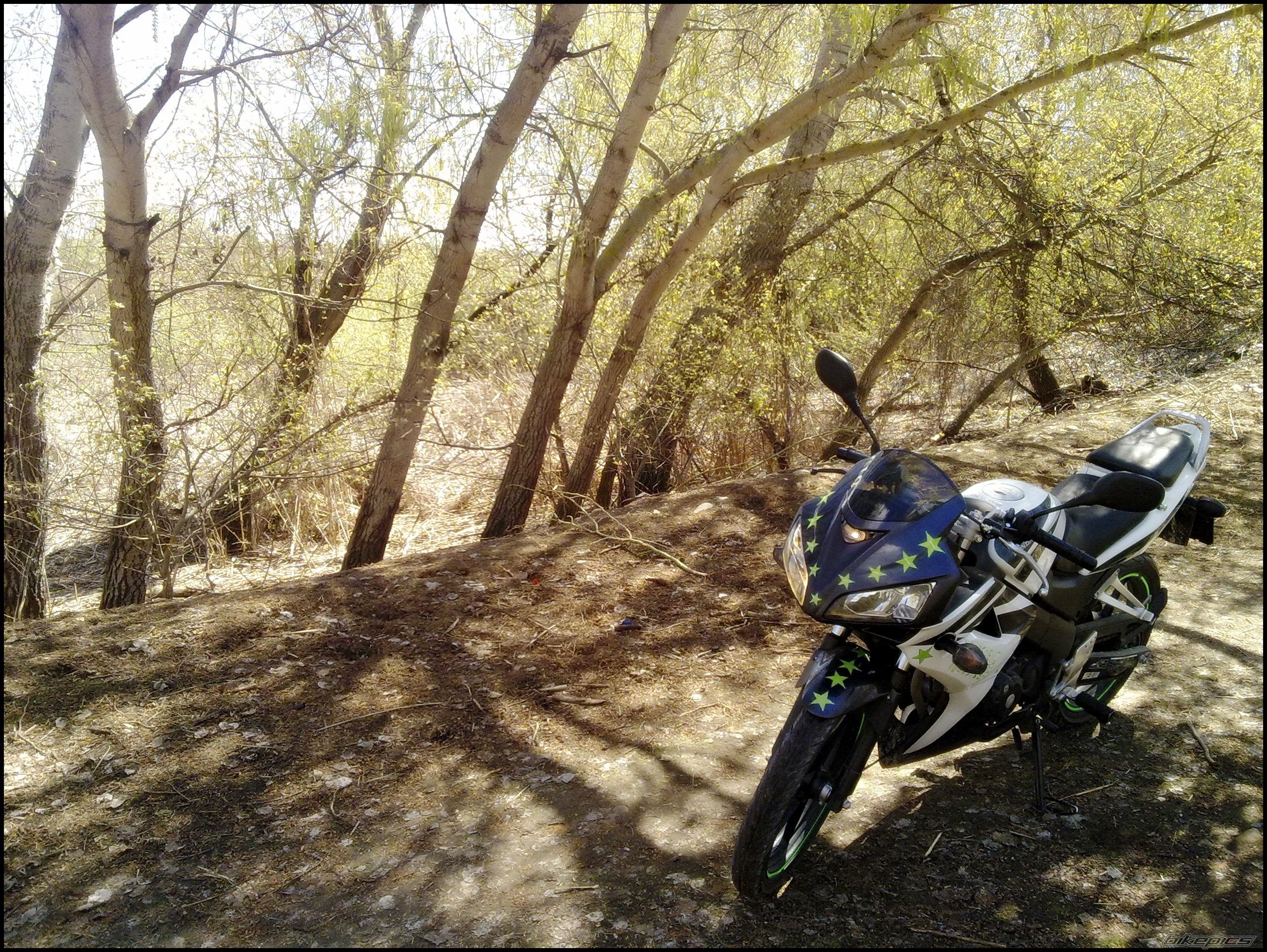 Bike Photo 1943913
