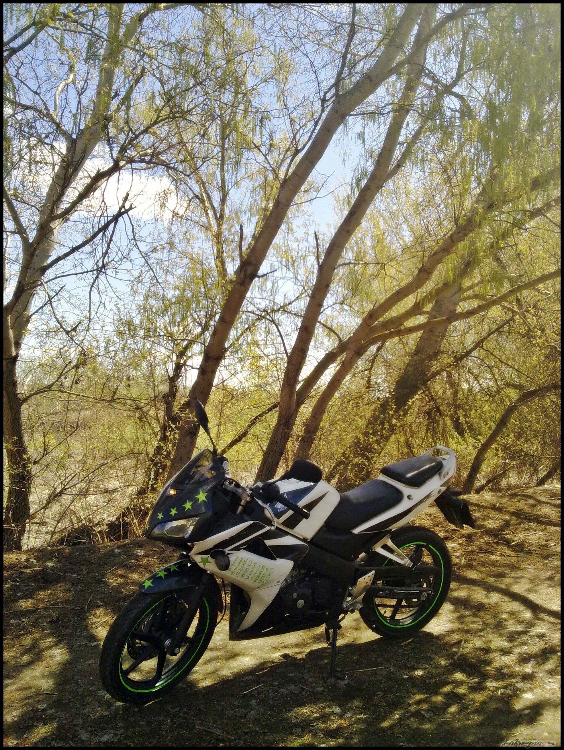 Bike Photo 1943916