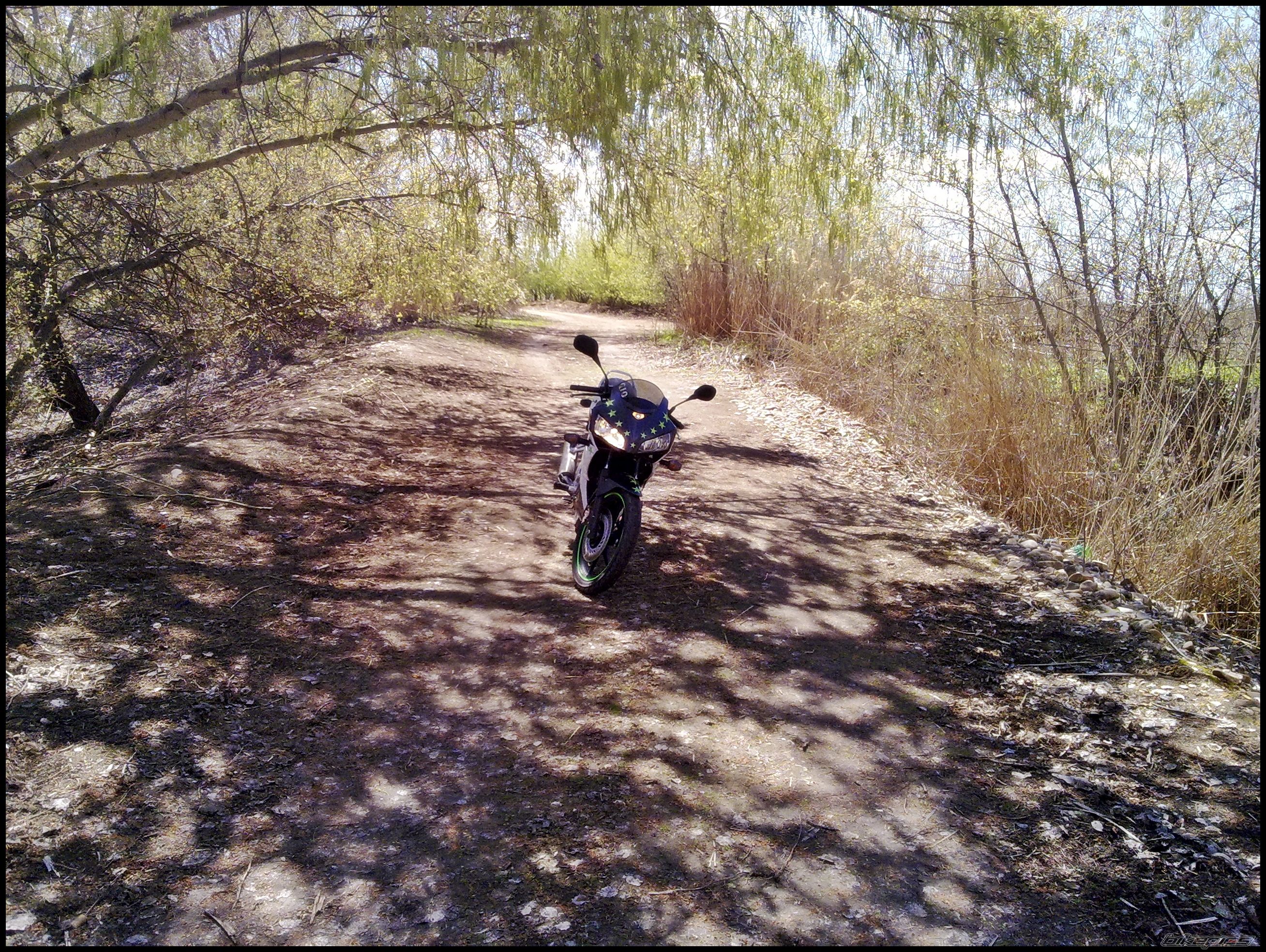Bike Photo 1943918