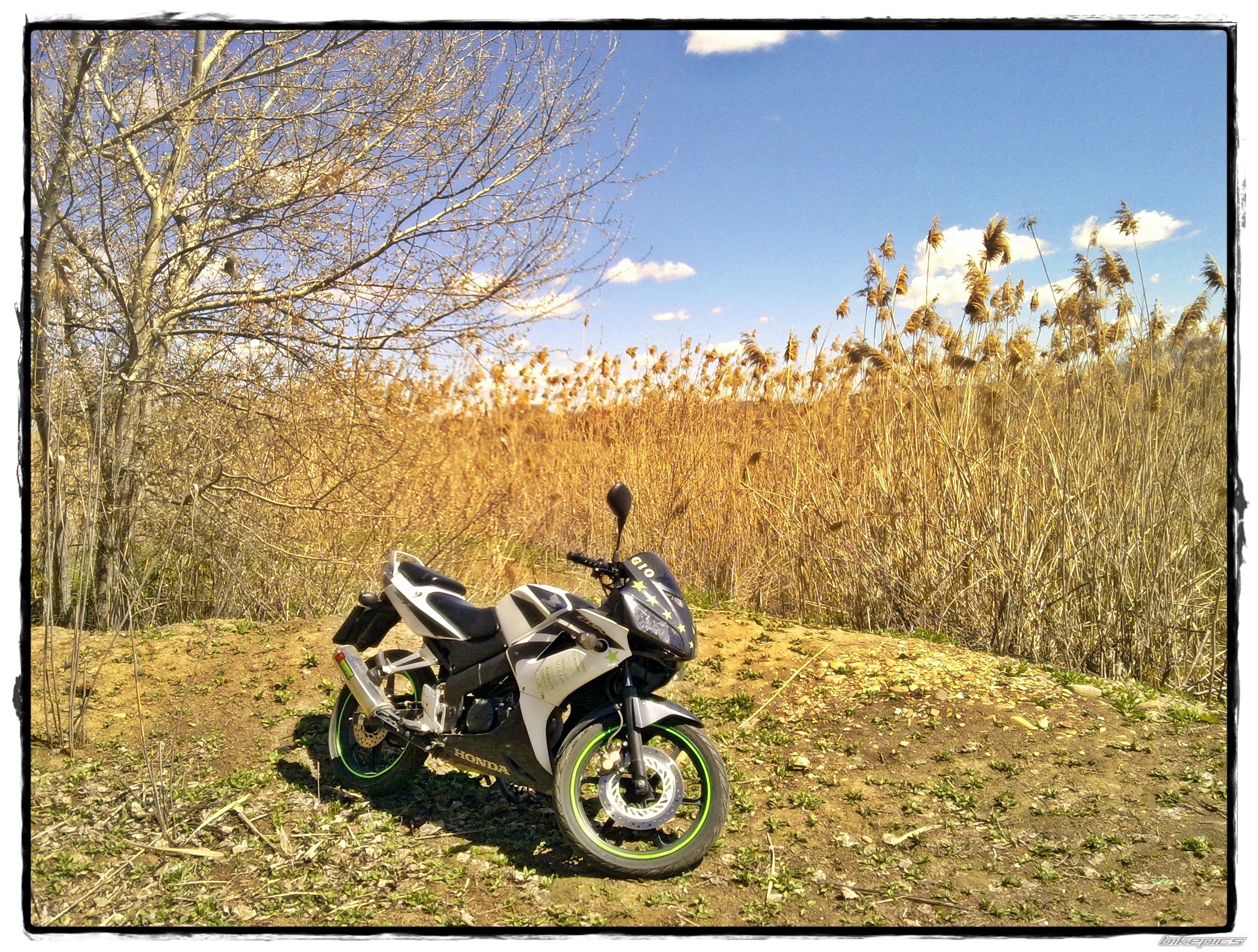 Bike Photo 1943920