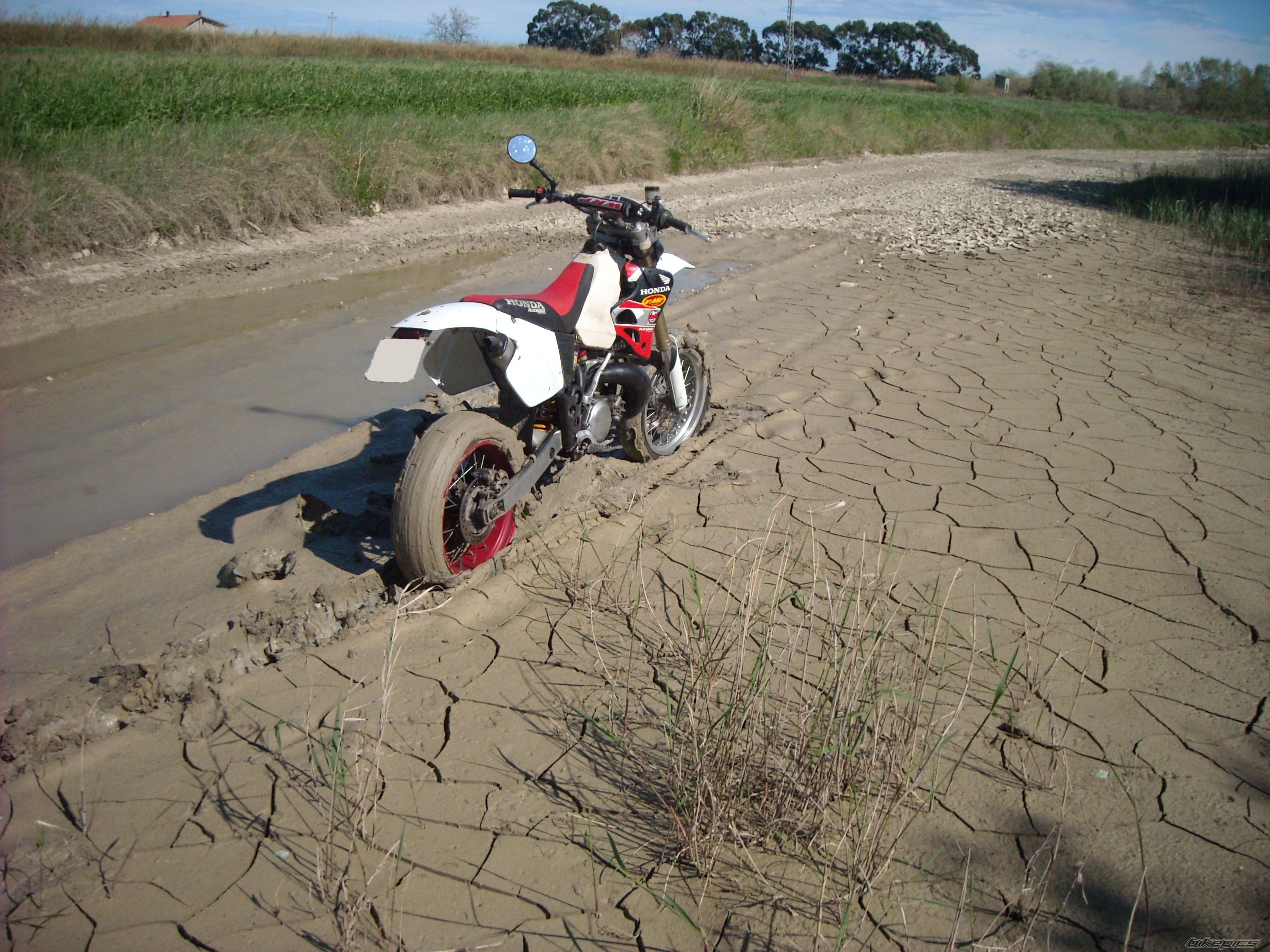 Bike Photo 1944001