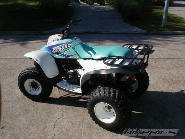 Photo 194443