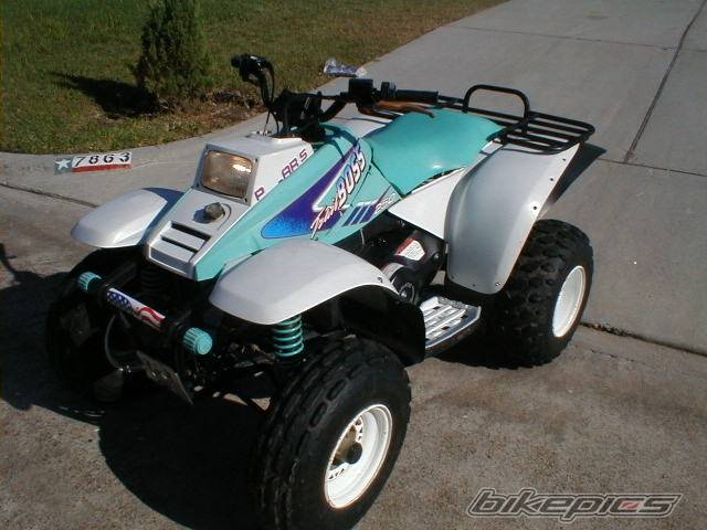 Photo 194445