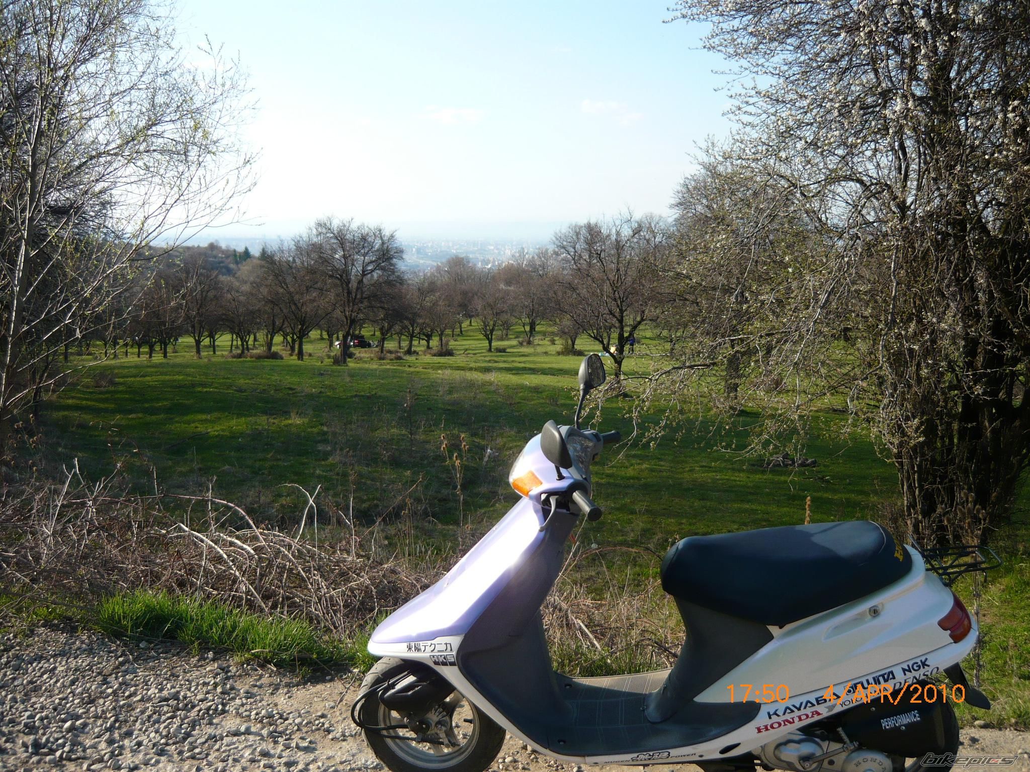 Photo 1944454