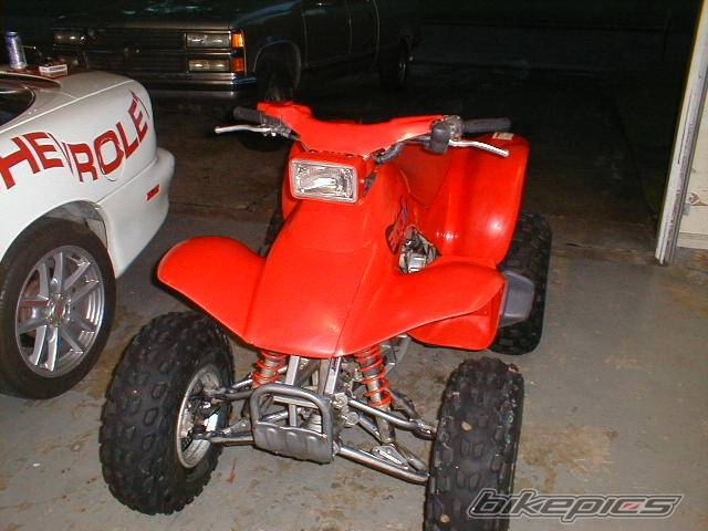 Photo 194446