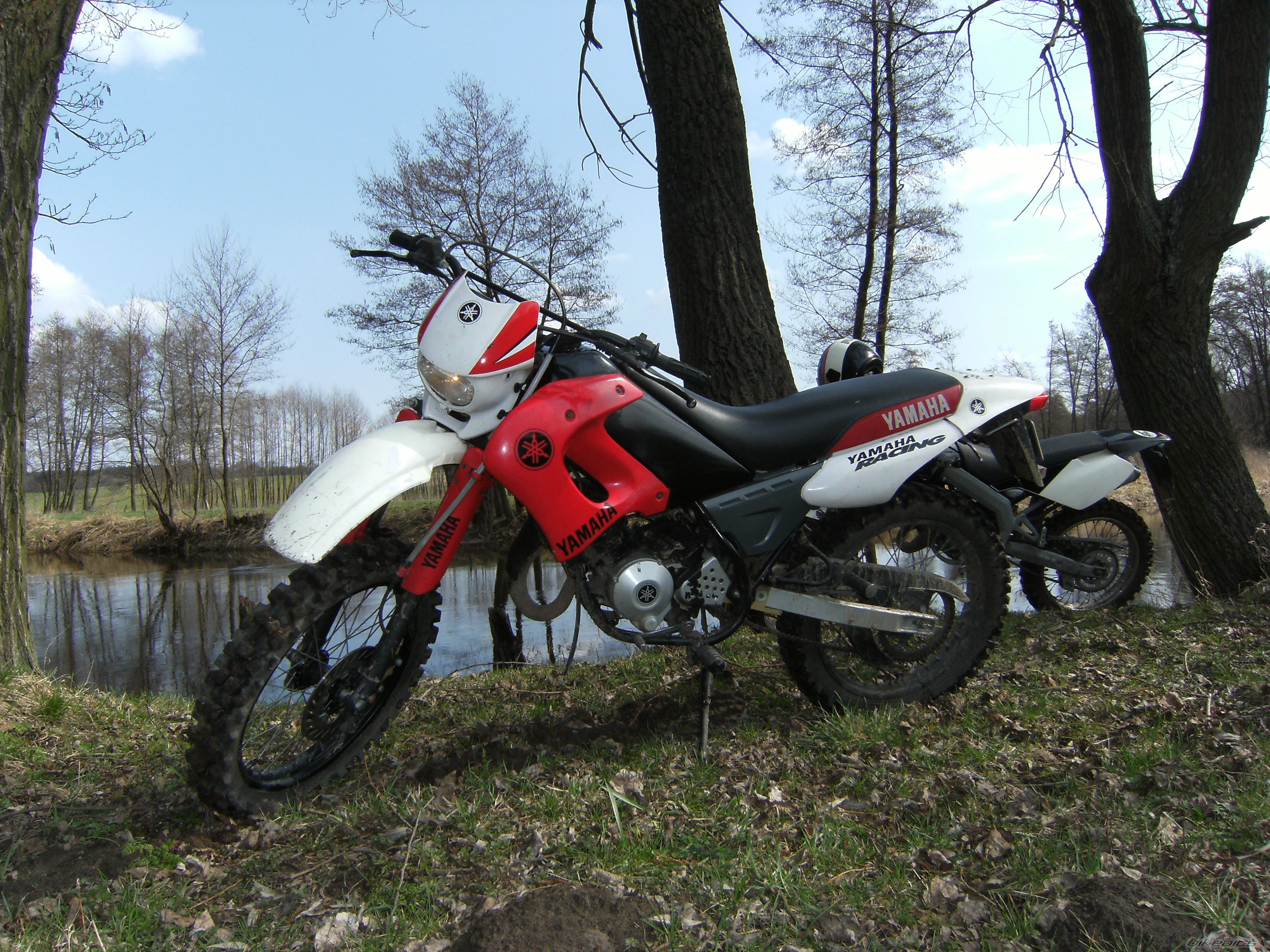 Bike Photo 1944899