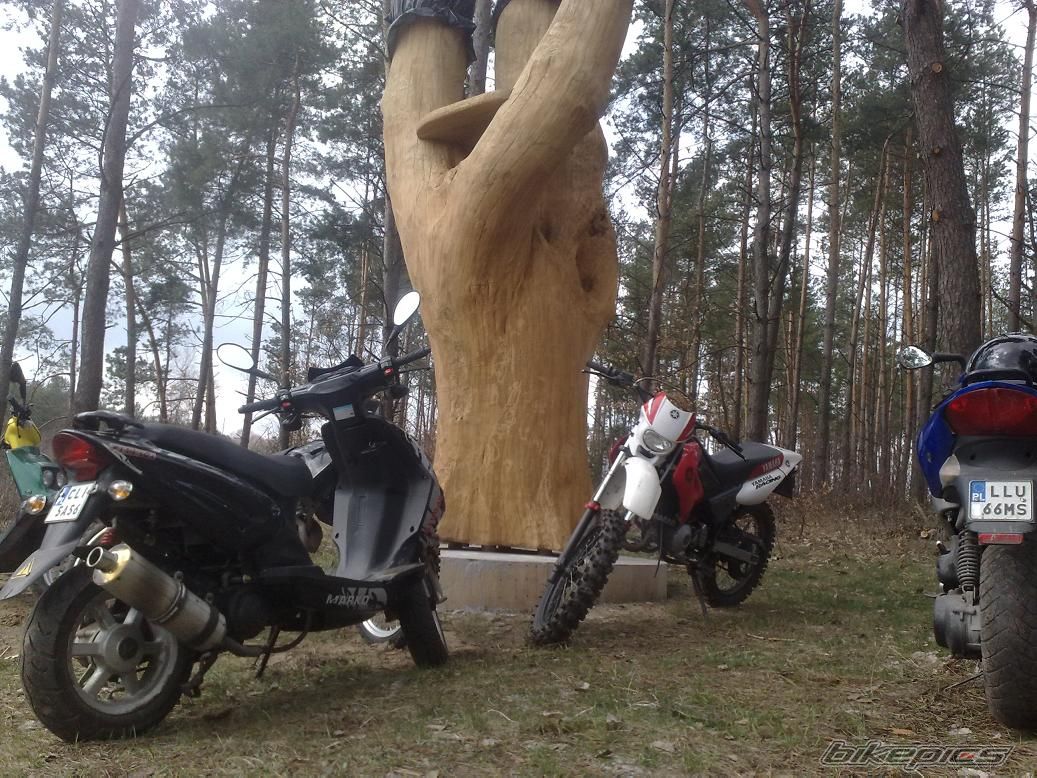 Bike Photo 1944931