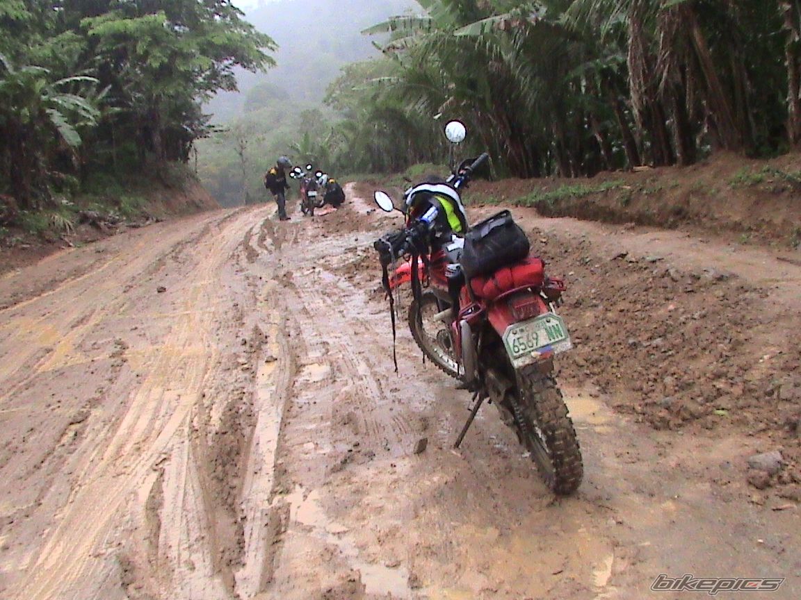 Bike Photo 1945350