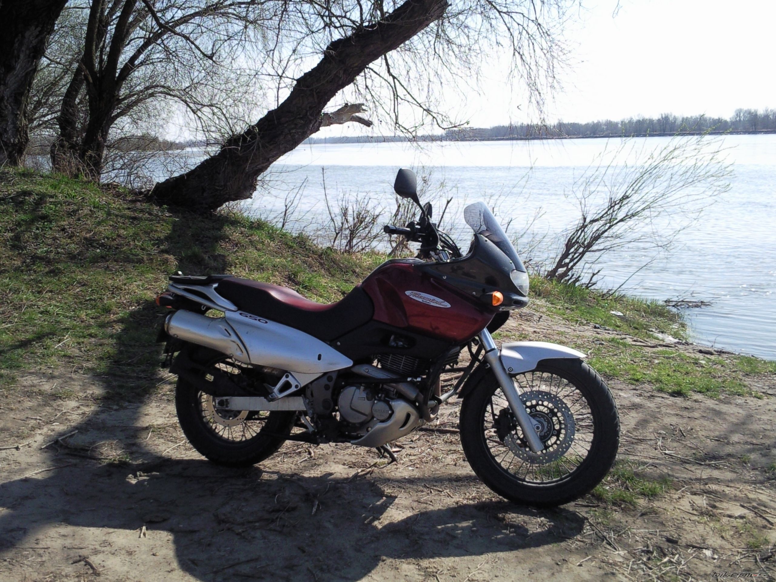 Photo 1945717