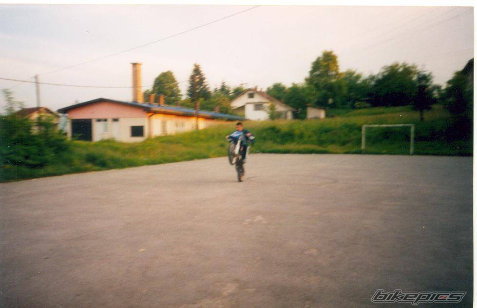 Photo 194587