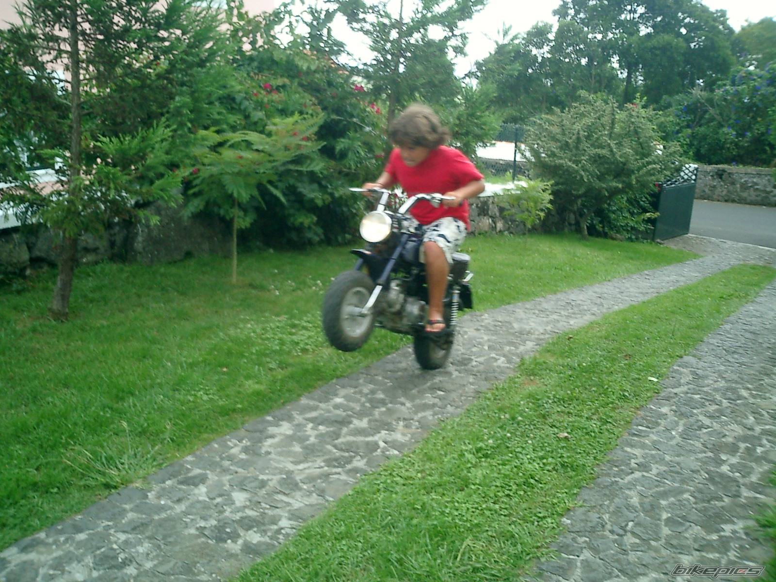 Photo 194590