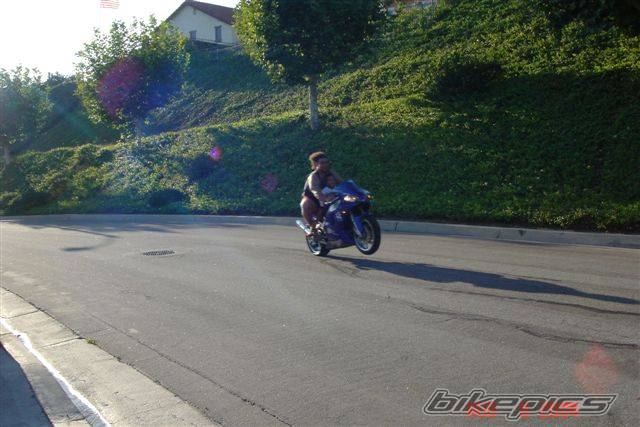 Photo 194601