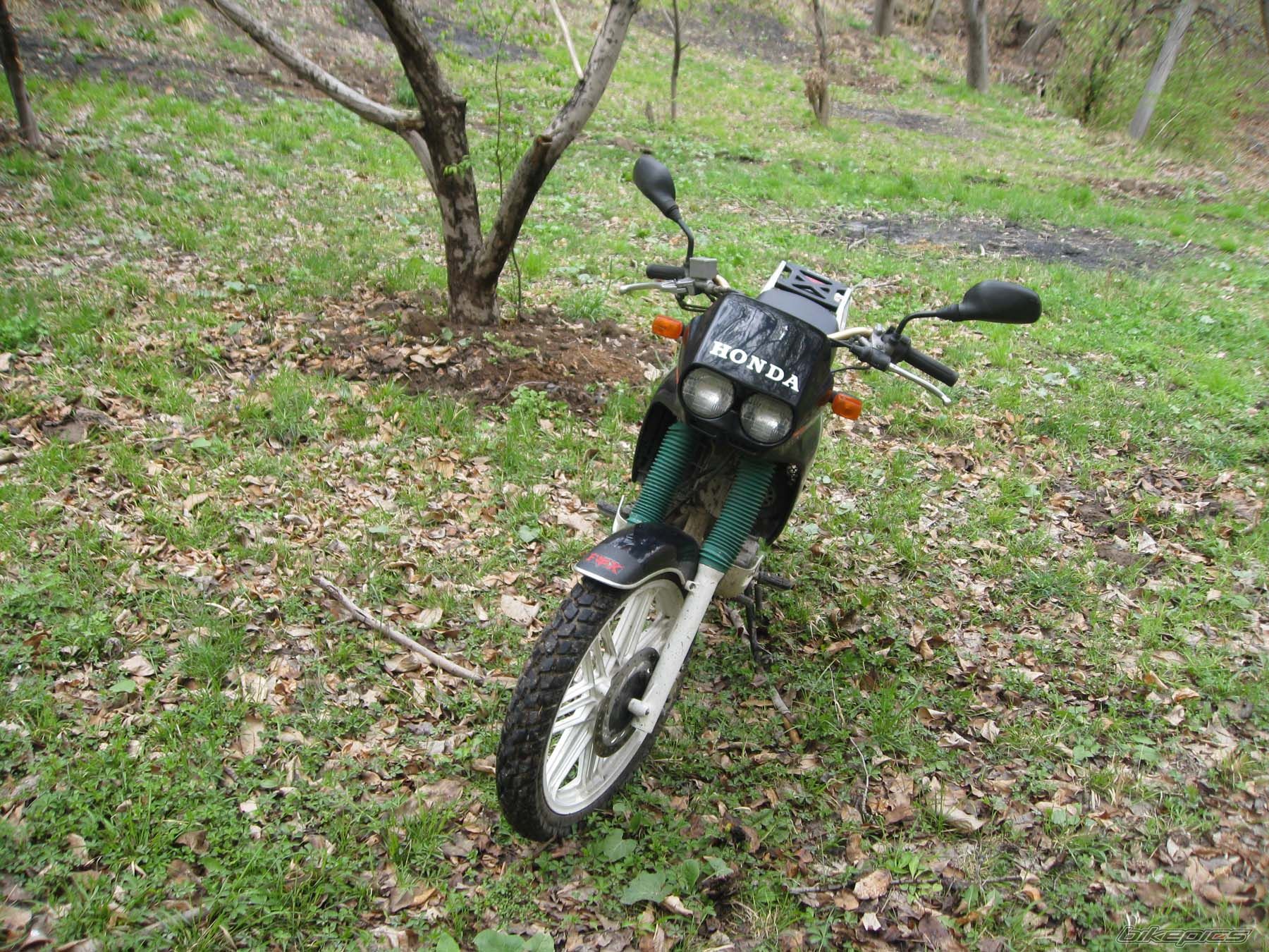 Bike Photo 1946187
