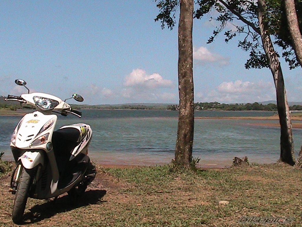 Bike Photo 1946393