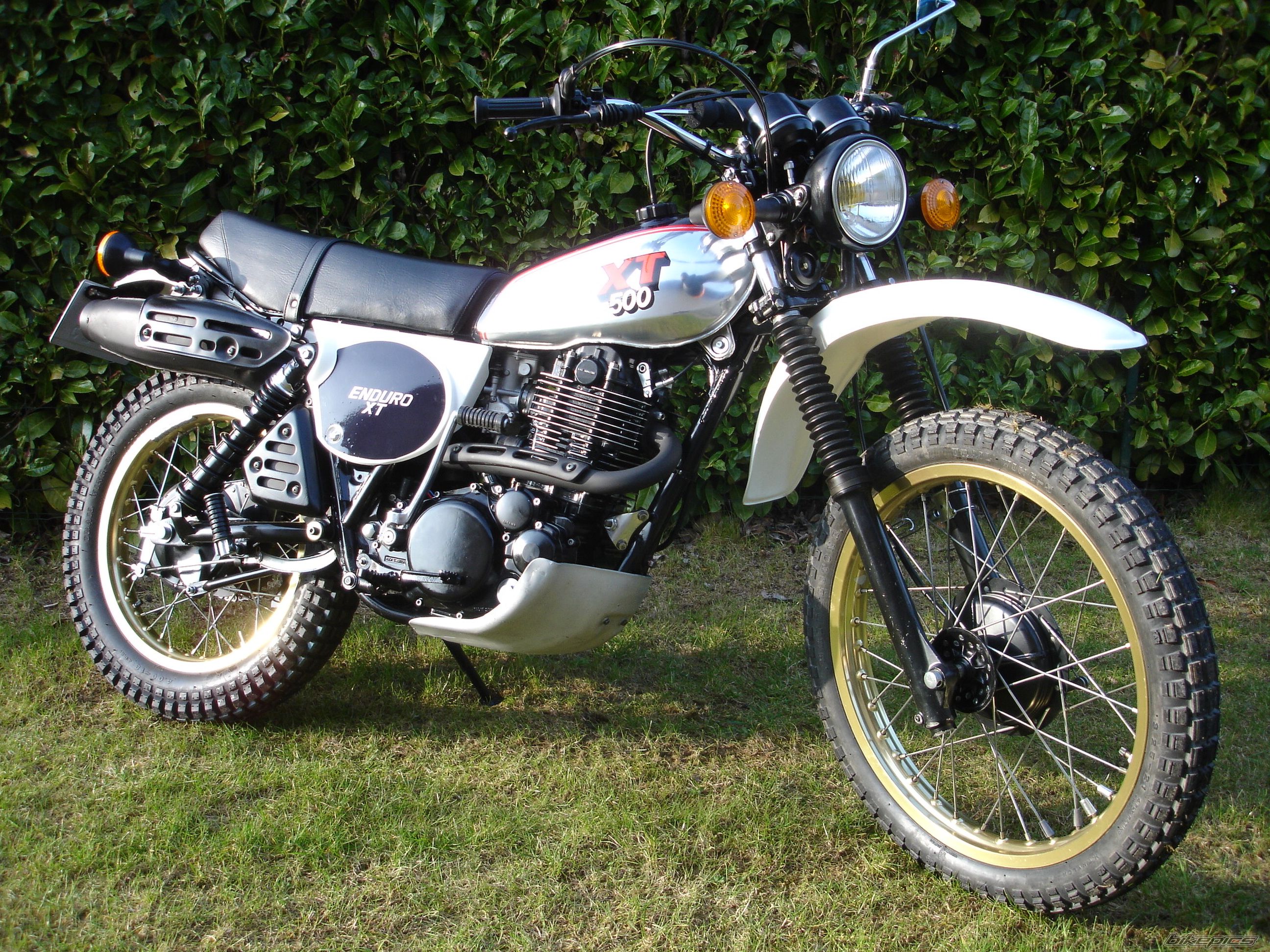 Bike Photo 1946418