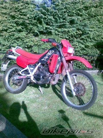 Photo 1946436