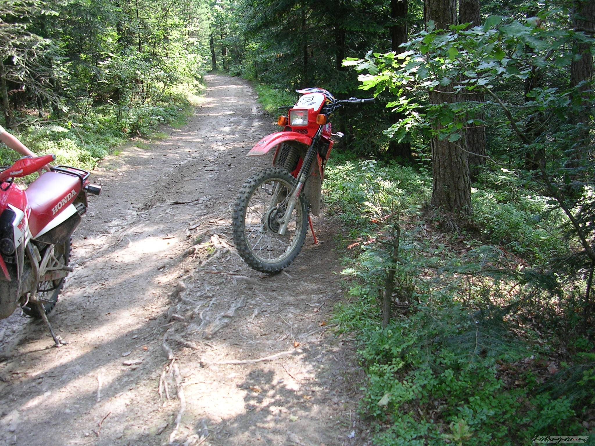 Bike Photo 194665