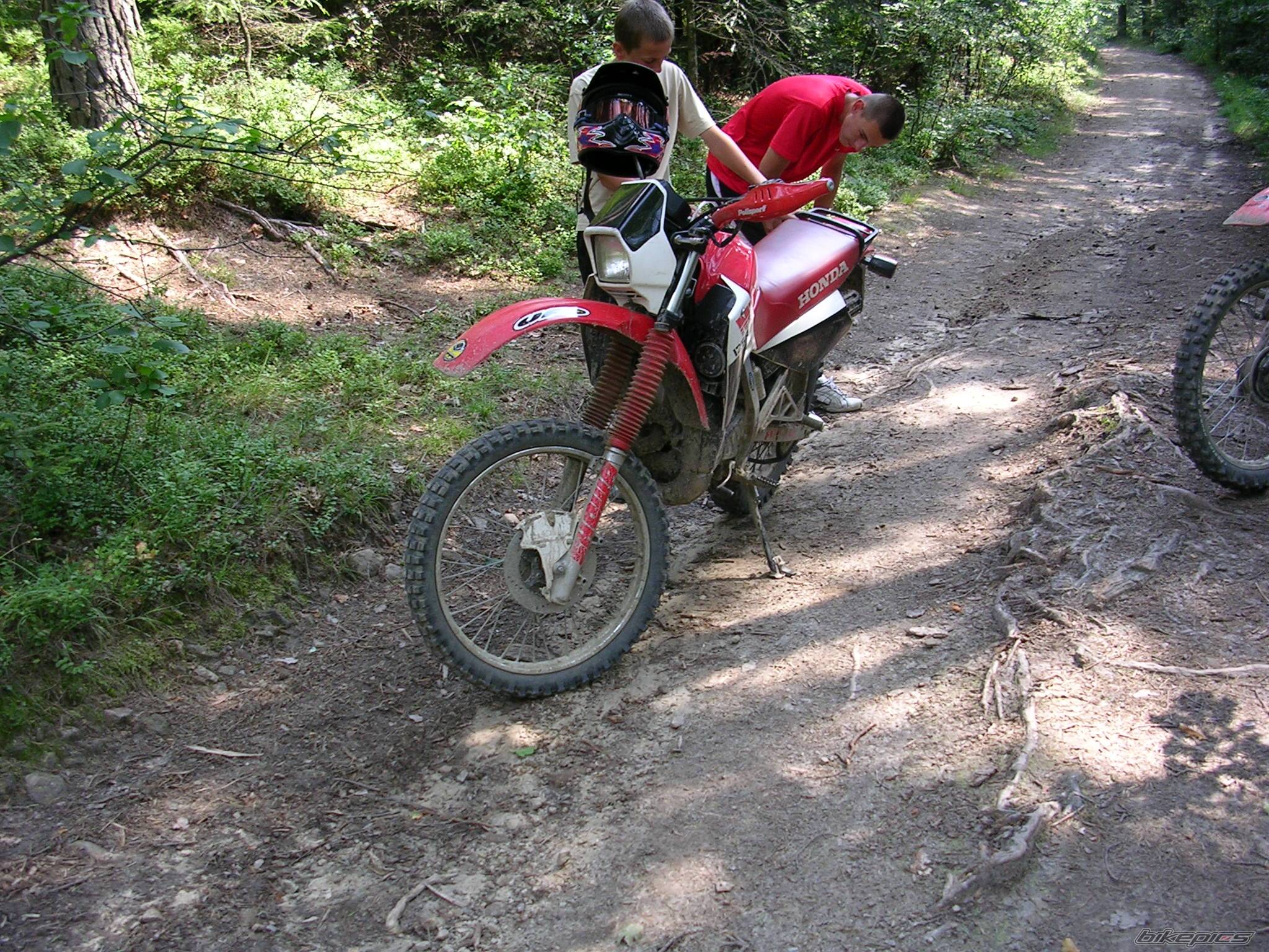 Bike Photo 194666