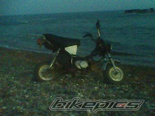 Photo 1947093