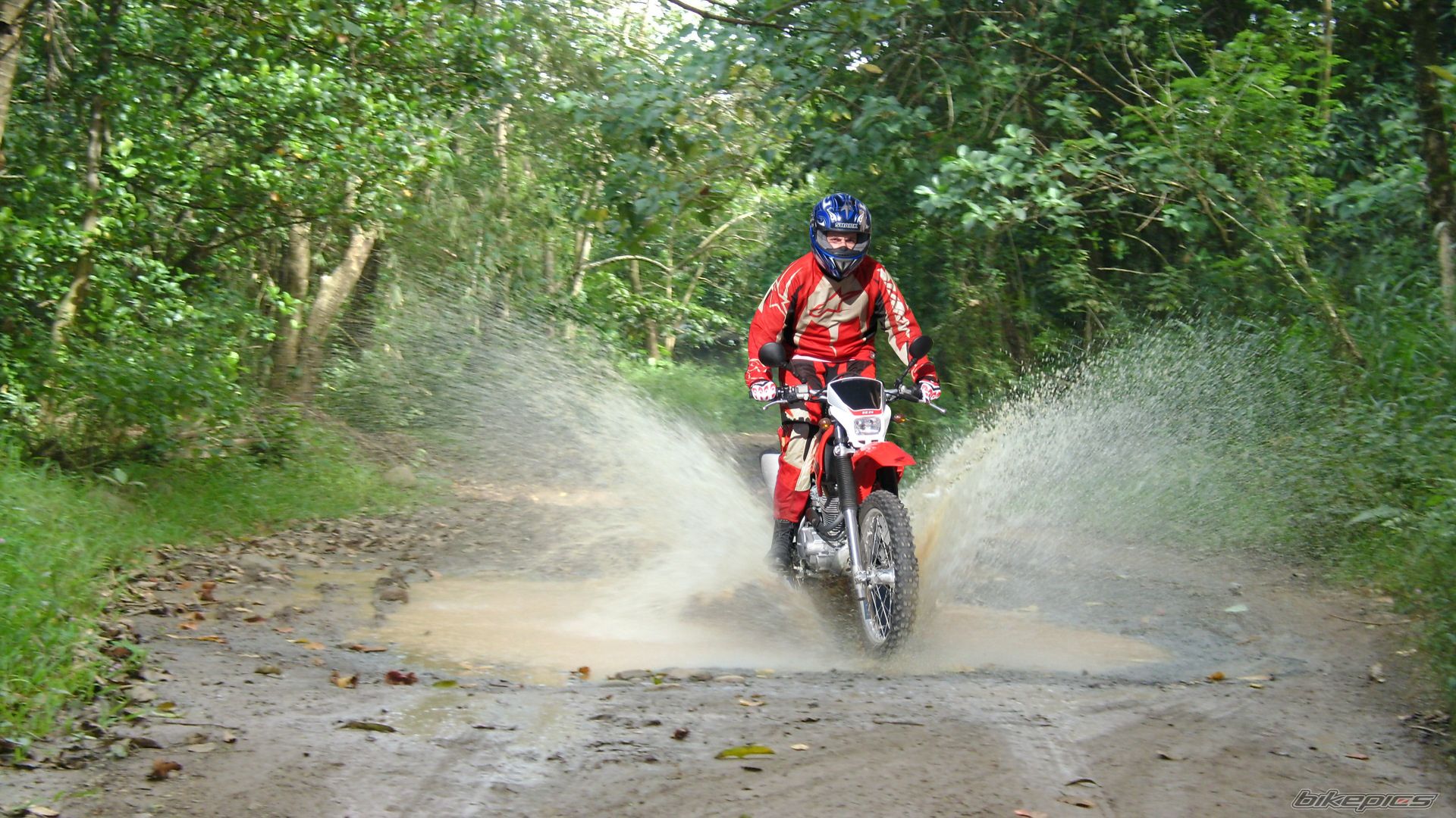 Bike Photo 1947315