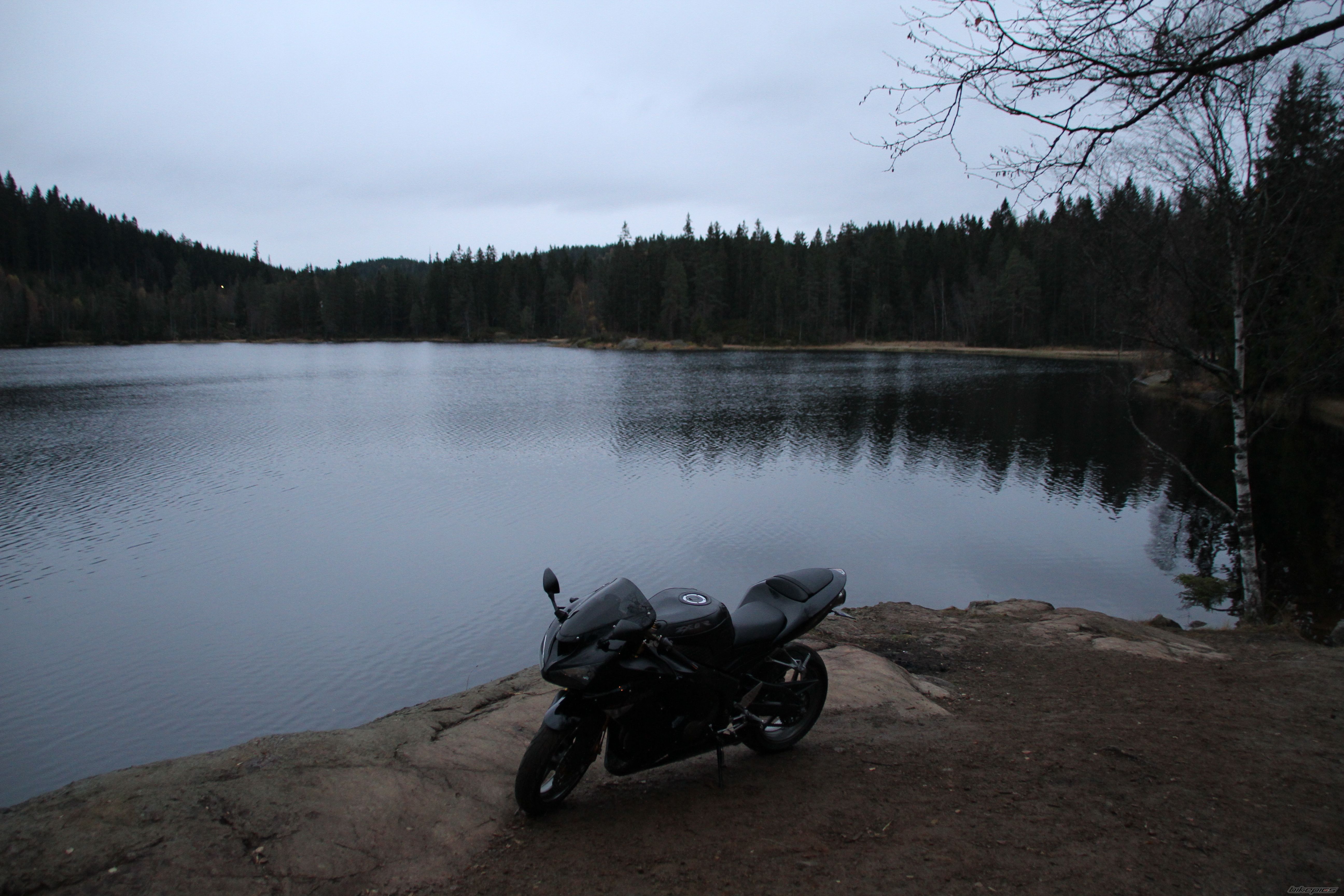 Photo 1947835