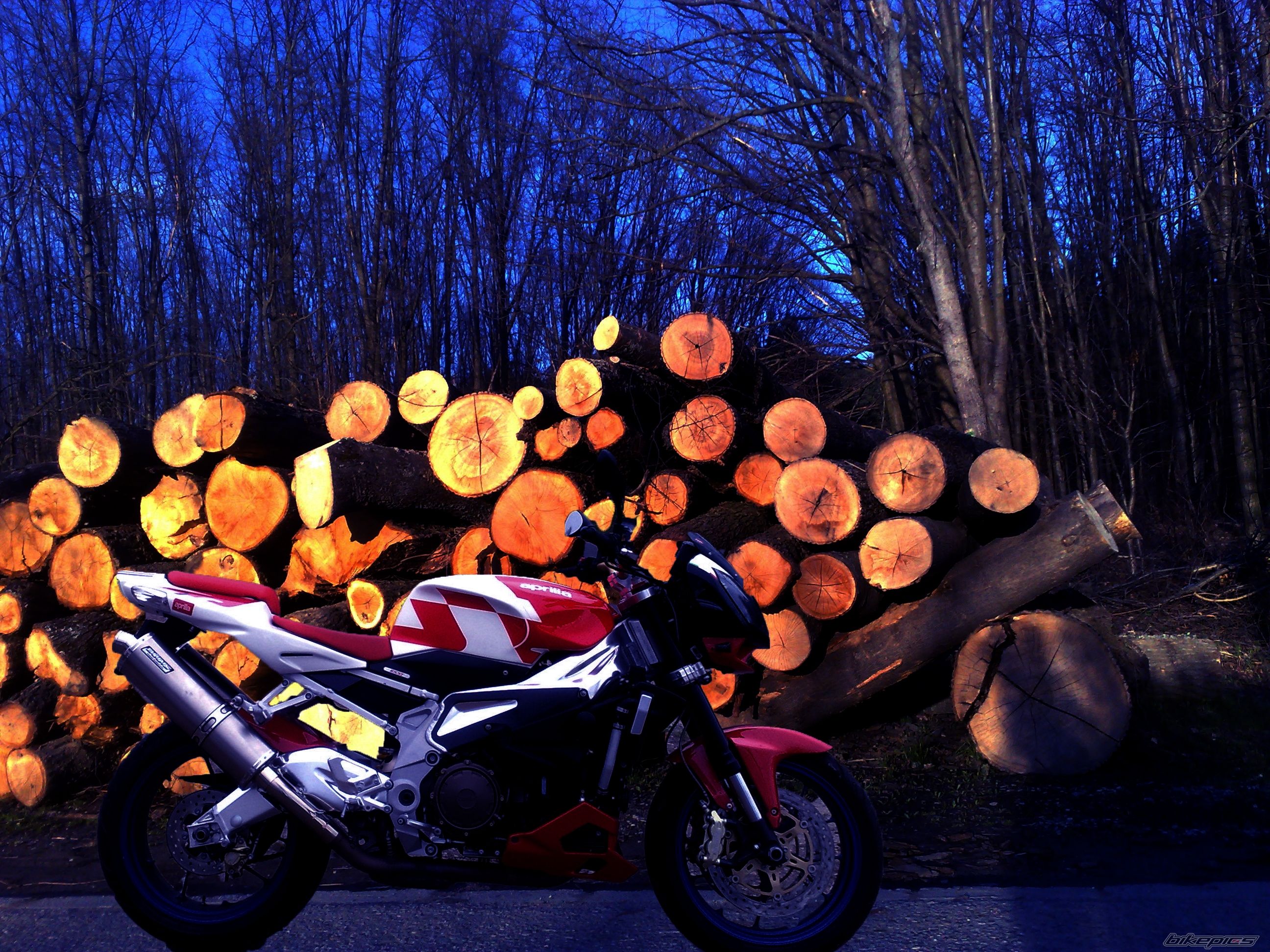 Bike Photo 1948464