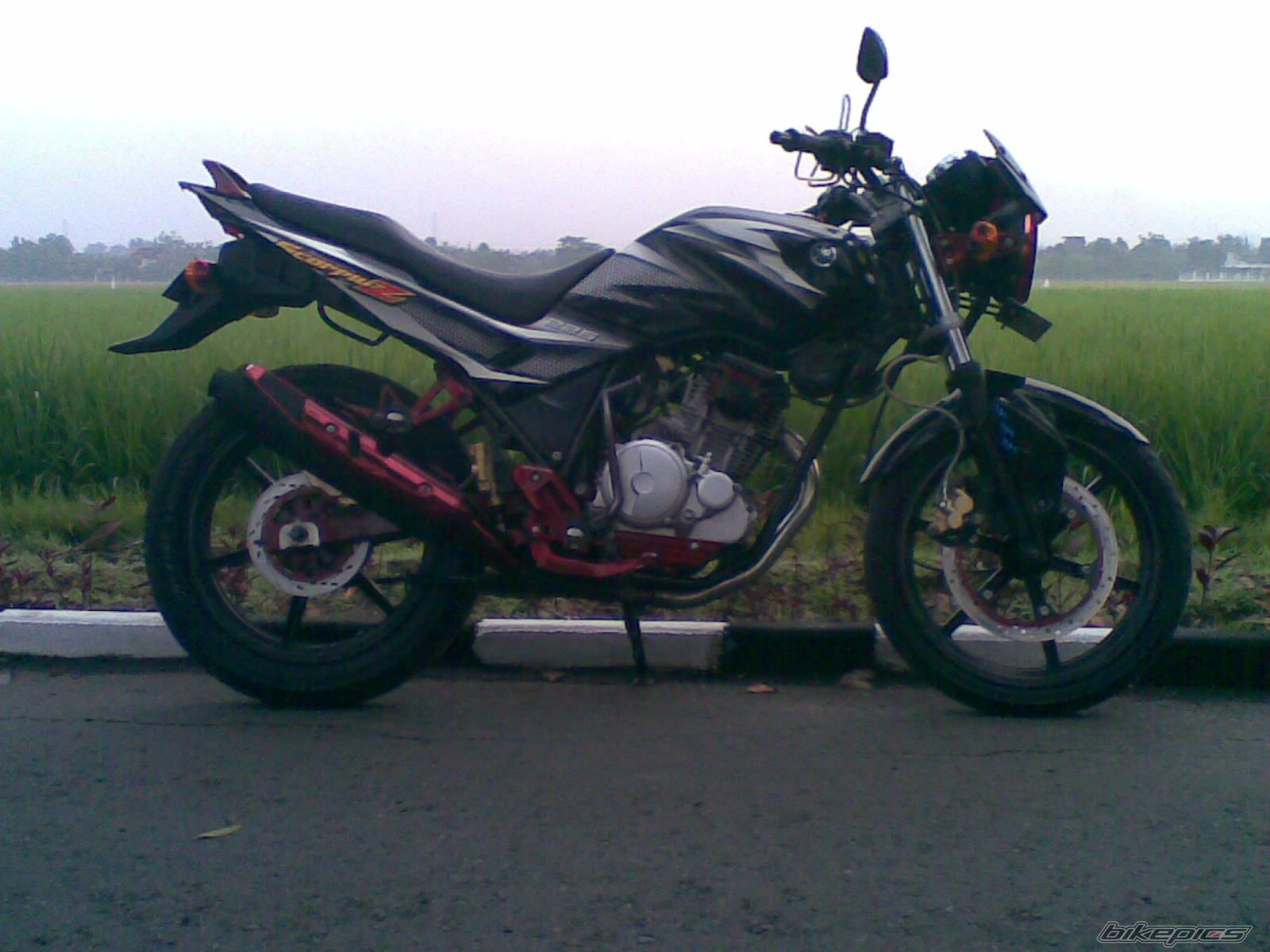 Bike Photo 1948502