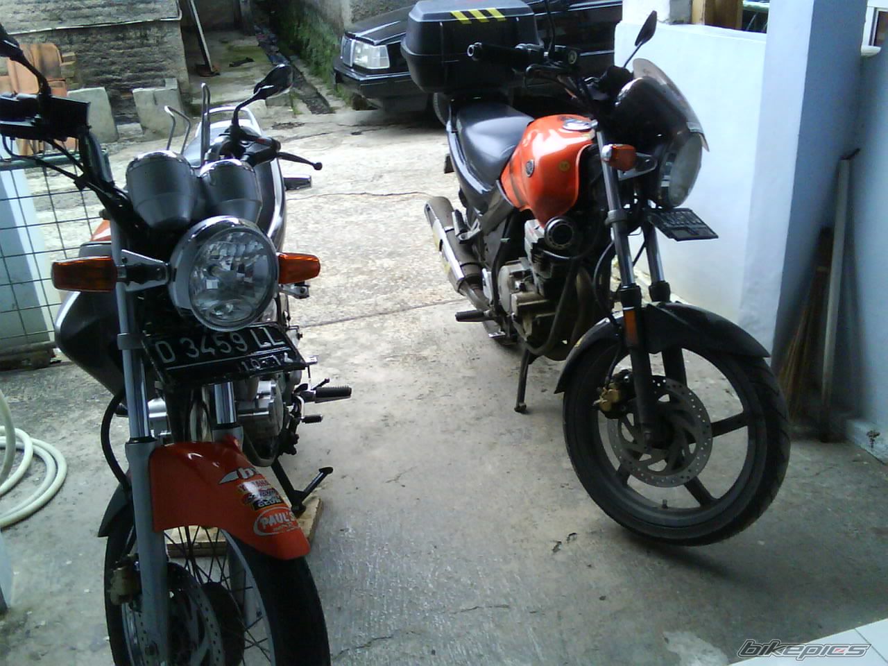 Photo 1948781