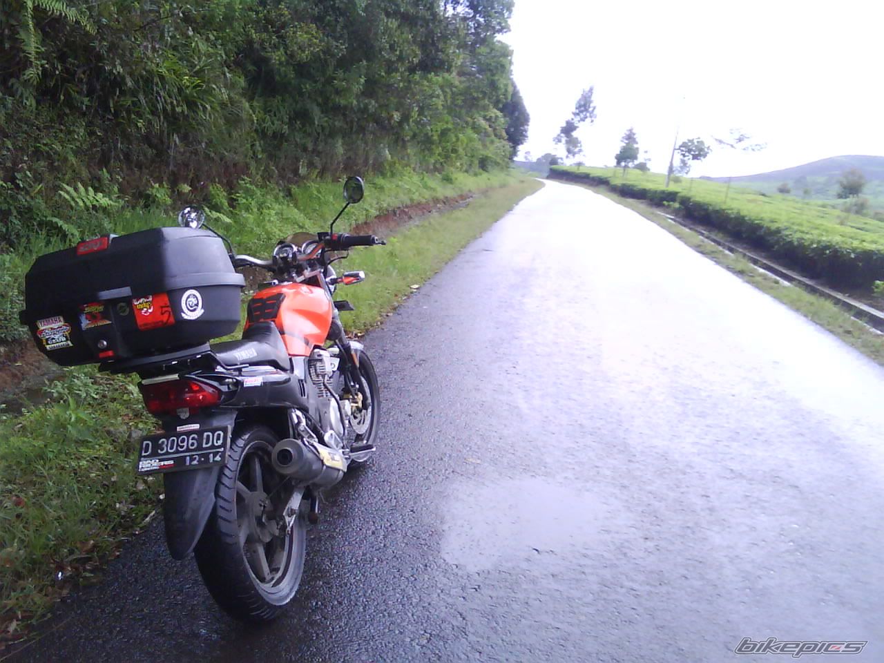 Photo 1948954