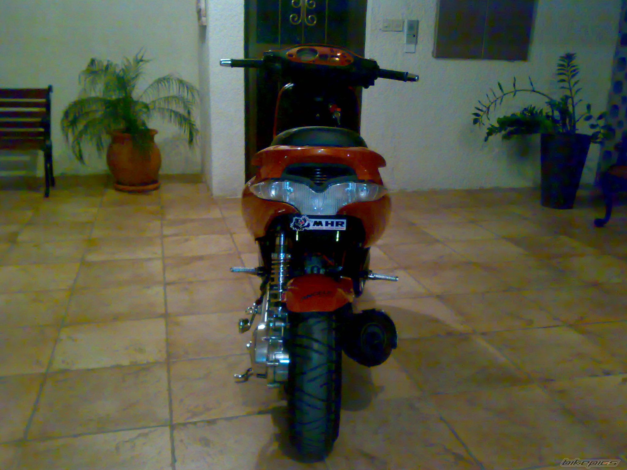 Photo 1949032