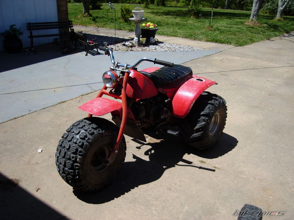 Photo 1949075