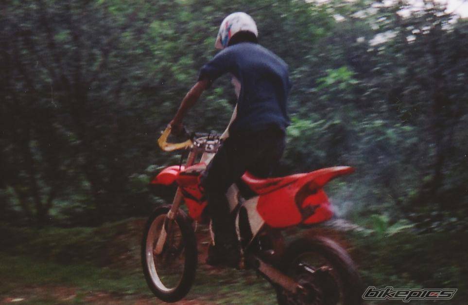 Photo 194922