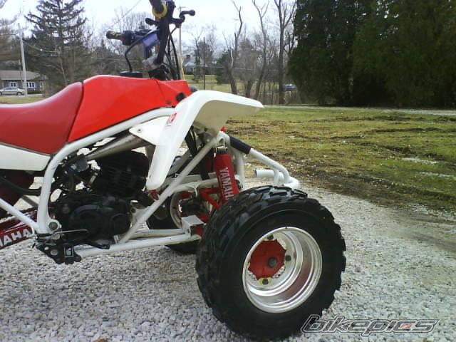 Photo 1949348