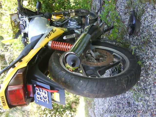 Photo 1949392
